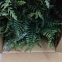 QIANYUN Fake Fern Outdoor Artificial Plants-2-Pack Artificial Outdoor Hanging Fern Faux Greenery UV Resistant Plastic Plants for Front Porch Living Room Garden Decor- Including Hanging Planters