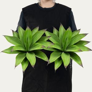Ttranewsoo Fake Plants Artificial Agave Plants,Large UV Resistant Fake Agave Planters for Indoor and Outdoor Decorating Tropical Plant Succulents Greenery Indoor Decor13.8 (2Pack, Dark Green)