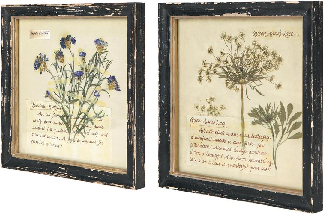 NIKKY HOME Botanical Wall Art Set of 2, Vintage Botanical Prints Wooden Framed Floral Plant Pictures Poster Decor for Bathroom Bedroom Living Room Office, 10x10 Inch