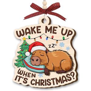 Capybara Christmas Ornament 2025 - Funny Animal Ornaments for Tree Decor, Unique Animal Lover Gifts, Capybara Ornament for Women Men, Funny Gifts for Friends Neighbors Boys and Girls