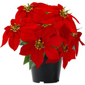 ZYZEV 14" Poinsettias Artificial Christmas Flowers 9 Heads Faux Poinsettia Plants for Home Porch Garden Office Indoor Outdoor Christmas Decorations Red (1PC)