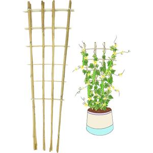 Plant Trellis for Climbing Plants, Vegetables, Cucumber, Tomato, Outdoor and Indoor Potted Plants