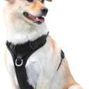 No Pull Dog Harness for Small Medium Large Dogs - Adjustable Two-Layer Mesh Dog Vest with Dual Clip, Escape Proof, Quick Release, Lightweight Breathable Mesh for Walking Hiking (Black,XS) (XS(Neck:11.8-16.5",Chest:14.2-19.7"))