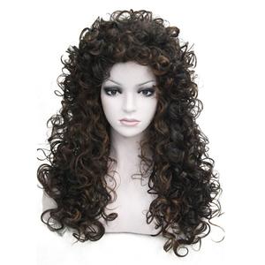 Aimole Synthetic Heat Resistant Hair Long Curly Wigs Cosplay Women Wig (#4-30)