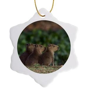 3dRose Snowflake Ornament - Capybara, Youngsters Along The Edge - 3-inches (ORN_330570_1)