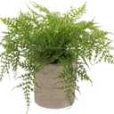 Briful Small Fake Plant Potted Plants Artificial Decor Plastic Asparagus Ferns Plant Faux Plants in Pots for Home Living Room Bedroom Desk Shelf Farmhouse Decoration (Color #03)