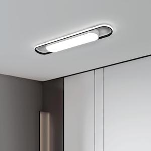 28.3Inch Cool White Modern LED Ceiling Lighting,40W High Brightness Metal Linear Ceiling Lamp,6500K Simple Long Light for Kitchen Dining Living Room Laundry, Garage Cloakroom Lighting