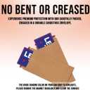 2 x Magnet Sticker Subtle Let's Go Taco Magnetic Anti Funny Leftist Feminist Social Justice Human Rights Black Blue Magnet for Bumper, Refrigerator, Cruise Door, Car, Truck 7.5x3.75in