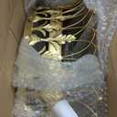 Creative Co-Op Decorative Metal Curtain or Canopy Crown, Gold Finish