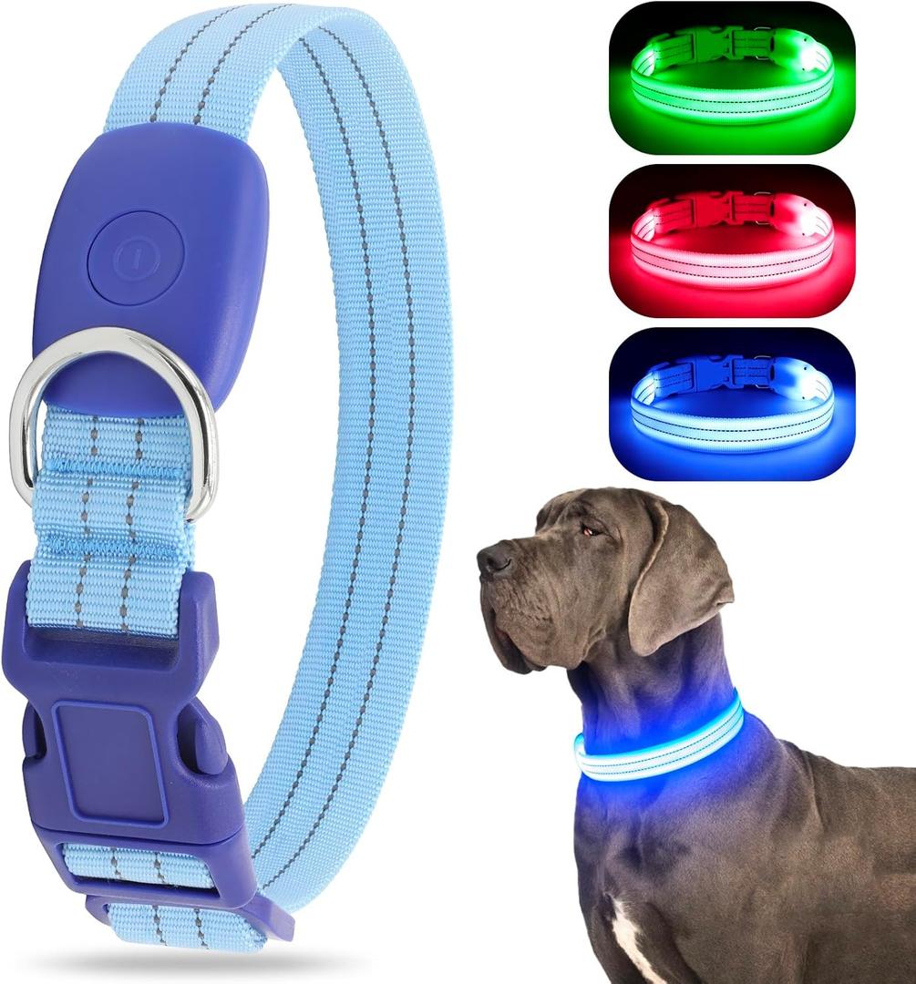 Light Up Dog Collar, LED Lighted Reflective Dog Collars for Night USB Rechargeable, Glow Collar for Dogs, Waterproof Adjustable Flashing Dog Collar for Night Safety (Blue, Small)