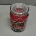 Candle-lite Fall Scented Candles, Apple Cinnamon Crisp, 18 oz Jar, Proudly Poured in The USA, Aromatherapy Candle, Single-Wick with 110 Hours of Burn Time, Perfect for Creating an Inviting Ambiance