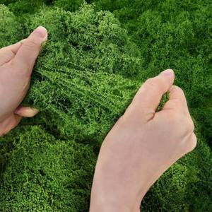 Artificial Green Moss for Christmas Potted Plants 5.3OZ for Crafts Preserved Fake Moss for DIY Decorative Table Centerpieces Fairy Garden Decor