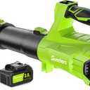 Leaf Blower Cordless with 2 x 3.0Ah Battery and Charger, 680CFM 260MPH Electric Blower with 2 Speeds, 20V Handheld Leaf Cleaner for Lawn Care, Blowing Leaves, Dust, Snow, Gravel for Patio, Yard, Green