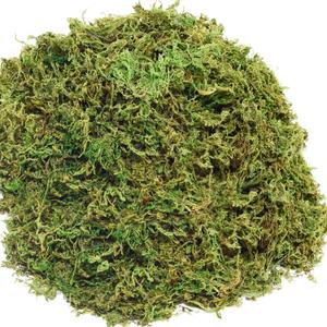 10OZ Fake Moss Artificial Moss for Potted Plants Greenery MossHome Decor Fairy Garden Crafts Wedding Decoration (Fresh Green)