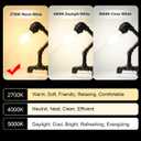 Ascher Vintage LED Edison Bulbs, 6W, Equivalent 60W, Non-Dimmable, High Brightness Warm White 2700K, ST58 Antique LED Filament Bulbs with 80+ CRI, E26 Medium Base, Clear Glass, Pack of 4