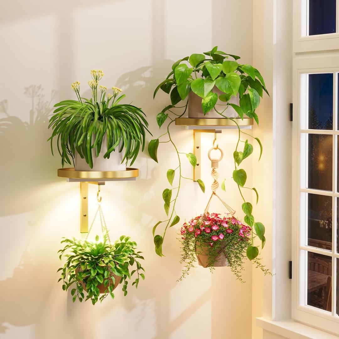 iDavosic.ly Wall Plant Holder with Grow Lights Set of 2 for Indoor Outdoor, Metal Hanger with 2 Hooks, Floating Flower Display Stand for Window, Space Saving & Easy to Assemble (Pots Not Included), Gold