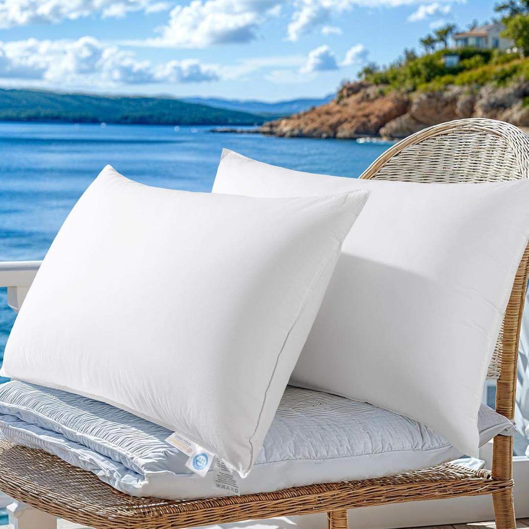 LBRO2M Canadian Luxury Goose Down Pillow 900 Fill Power 80% Goose Down 20% Goose Feather with 600TC 100% Cotton Pillow Shell Queen Down Pillows Ideal for Plush Comfort and Support (20"X30" Set of 2) (White)