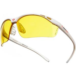 Gearbox Vision Eye Protection with Hard Case (White)