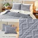 Joyreap 2-Piece Fluffy Faux Fur Sherpa Pillow Set Light Gray, Queen Size Luxury Tufted Pillow Shams Set