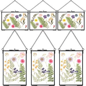 Treela 6 Pcs Pressed Flower Glass Picture Frames 5 x 7 Inch Black Herbarium Botanical Brass Hanging Double Glass Floating Photo Frame Clear Horizontal Vertical Frames with Chain for Gallery Vintage