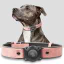 Premium Leather AirTag Dog Collar, 100% Waterproof & Reflective Dog Collar with AirTag Holder Compatible with Apple Air Tag | Durable, Comfortable Padded GPS Dog CollarsPink-L