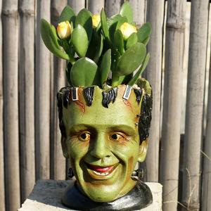 Horror Movie Horror Movie Vase Decor Fun for Indoor Plants Scary Head Plant Pots Resin for Garden Halloween Home Dcor (Frankenstein)