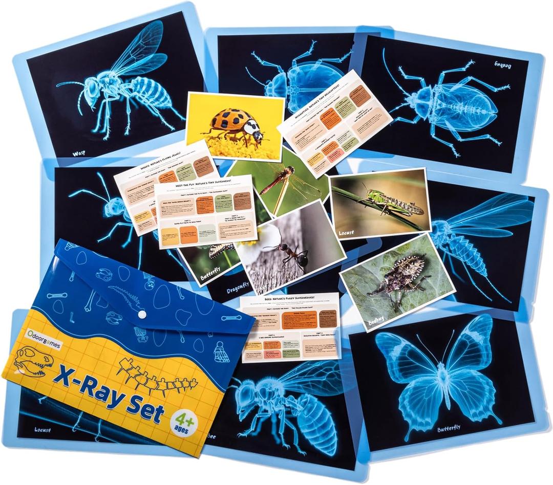 Insect Xrays  Bug Science Kit - Bug Detectives for Kids, Light Table Accessories, STEM Learning Insect X-Ray Set