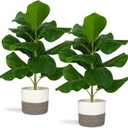 2 Pcs Artificial Summer Fiddle Leaf Fig Trees, 2.7 ft Tropical Theme Artificial Ficus Lyrata Fake Potted Plant with Cotton Rope Baskets for Home Office Bedroom School Classroom Decoration Gifts White