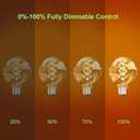 Dimmable Edison Light Bulbs - 4W Equivalent 40W 2200K G80 E26 Edison Globe Bulbs Warm Light Bulbs Vintage Decorative LED Filament Light Bulbs, CRI80+, Amber Glass, for Home/Commercial Lighting (6PCS)