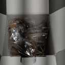 Kitchen Utenails Set with Holder,Kitchen Wooden Utensils for Cooking, Wood Utensil Natural Teak Wood Spoons for Cooking,Wooden Kitchen Utensil Set With Spatula and Ladle (11)