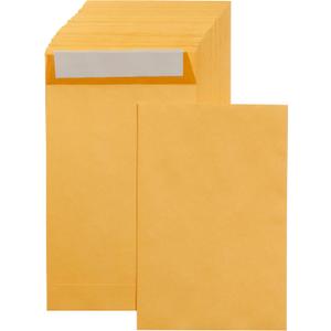 Amazon Basics Catalog Mailing Envelopes, Peel and Seal, 6x9 Inch, Brown Kraft, 250-Pack