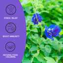 2 x BEI CAI Butterfly Pea Flower Tea - 1.25g x 50 Count - 100% Pure Made With Materials-Corn Fiber Tea Bag,Caffeine-Free, NON-GMO (Butterfly Pea Flower Tea)