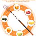 SISIUPASSIE 26FT Reach Fruit Picker, Apple Picker Pole with Basket Telescoping Tool for Apple Lemon Orange Mango Avocado Fruit Tree Picking