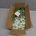 Waipfaru 30 Pcs Babys Breath Artificial Flowers, Baby Breath Flowers Artificial Bulk, Real Touch White Fake Flowers, Faux Babies Breath Gypsophila for Wedding Home Decor Floral Arrangement