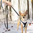 Beirui Leather Small Dog Set, Soft Plush Padded Puppy Harness, Winter Warm, Step In Anti Pull for Small Dogs, Black (M,Fit 16-21 lbs)