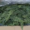 9 Ft Christmas Cedar Garland, Realistic Faux Pine Garlands, Green Artificial Greenery Garland for Winter Home, Mantle, Fireplace, Indoor, Outdoor Christmas Decorations (1Pcs)