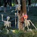 ALLIVING 5.4Ft Halloween Skeleton - Life Size Skeleton with Glowing Eyes Scary Creepy Sound Movable Joints Full Size Posable Skeleton Decor Halloween Decorations Outdoor Indoor, Part 1