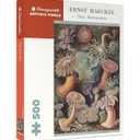 Ernst Haeckel Sea Anemones 500Piece Jigsaw Puzzle