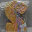 BLUE PANDA Pull String Pinata Number 2-16.5 x 11.5 x 3 In, Multicolor - Ice Cream 2nd Birthday Pinata for Two Sweet Birthday Decorations & Toddler Party Decoration