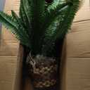 Nearly Natural 6788 Double Giant Boston Fern Hanging Basket,Green