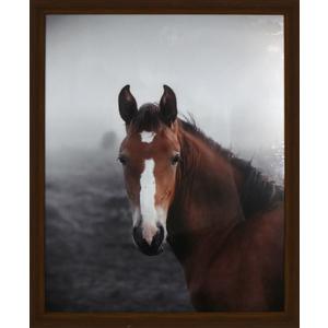 Crystal Art Gallery Horse Art Print Equine Framed Wall Art 
15" x 19"