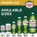 Canada Dry Zero Sugar Ginger Ale Soda, 12 fl oz cans, 12 pack (EXP 08/01/25)