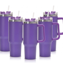 HASLE OUTFITTERS 30oz Tumbler Bulk with Handle, Insulated Travel Coffee Mug Set with Handle Leak-Proof Double Wall Stainless Steel Vacuum Tumblers Pack Metal Cup for Hot and Cold Drink (30 Ounces-5, Purple)