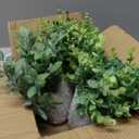 FGSAEOR Mini Potted Fake Plants, Small Artificial Greenery Realistic Plants Topiaries, Low Maintenance, for Home Office Shelf Desk Farmhouse Room Coffee Table Decor (3-Pack) (Grey (Round Pot))