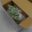 HappyHapi 12 Pcs Artificial Succulents Mini Fake Plants Unpotted Faux Succulent for Craft, Small Plastic Succulents Assortment in Flocked Green Floral Decor for Party, Cake, Garden & Outdoor