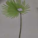 Spring Summer Declaration, 1 Pack