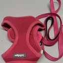rabbitgoo Dog Harness Small Sized and Leash Set, Step in Soft Light Puppy Vest, Breathable Mesh Pet Harness, Reflective for Safe Easy Walking, Rose Red XS