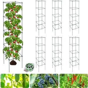 6 Packs Tomato Cages for Garden, 12"12"56" Plant Support Cage with Different Spacing, Green Metal Trellis for Climbing Plants Like Cucumber, Flowers