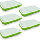 Gardzen 5-Pack Sprouts Growing Kit, Bean Sprouts Tray, Soil-Free Sprouting Tray, Ideal for Mung, Wheatgrass, Indoor Gardening