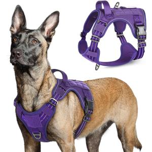 rabbitgoo Tactical Dog Harness for Large Dogs, No Pull Military Service Vest with Handle & Molle, Easy Control for Training Walking, Adjustable Reflective Straps, Purple, Large